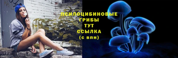 мяу мяу кристалл Магас