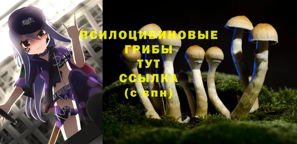гашишное масло Липки