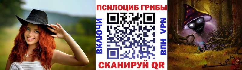 Купить закладки  Россошь  Псилоцибиновые грибы Psilocybe 